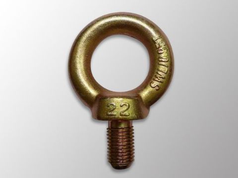 點擊查看詳細(xì)信息<br>標(biāo)題：吊環(huán)螺栓DIN580 閱讀次數(shù)：1429